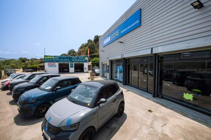 Revendeur de voiture sans permis Corse-du-Sud